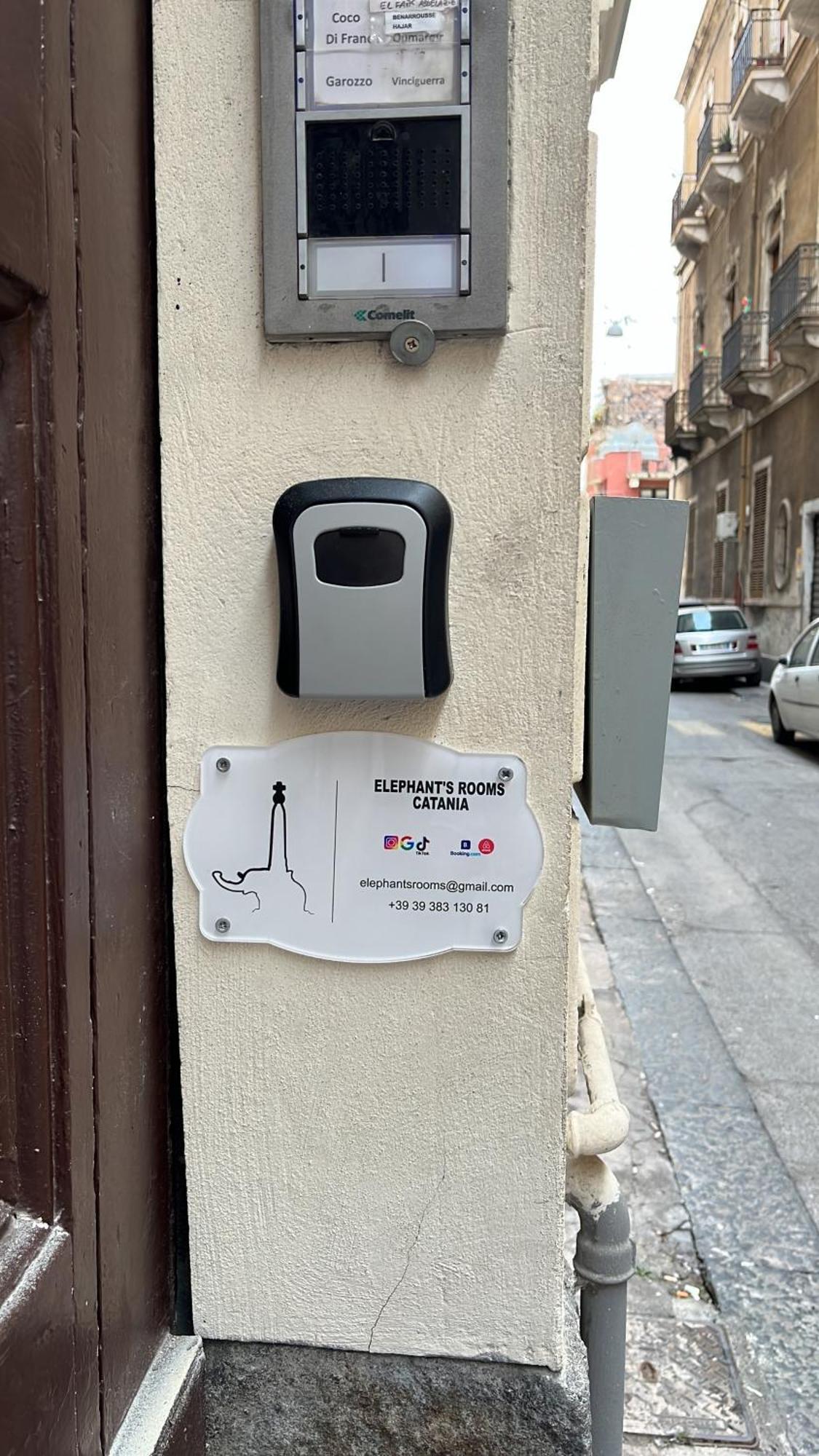 Elephant's * Catania